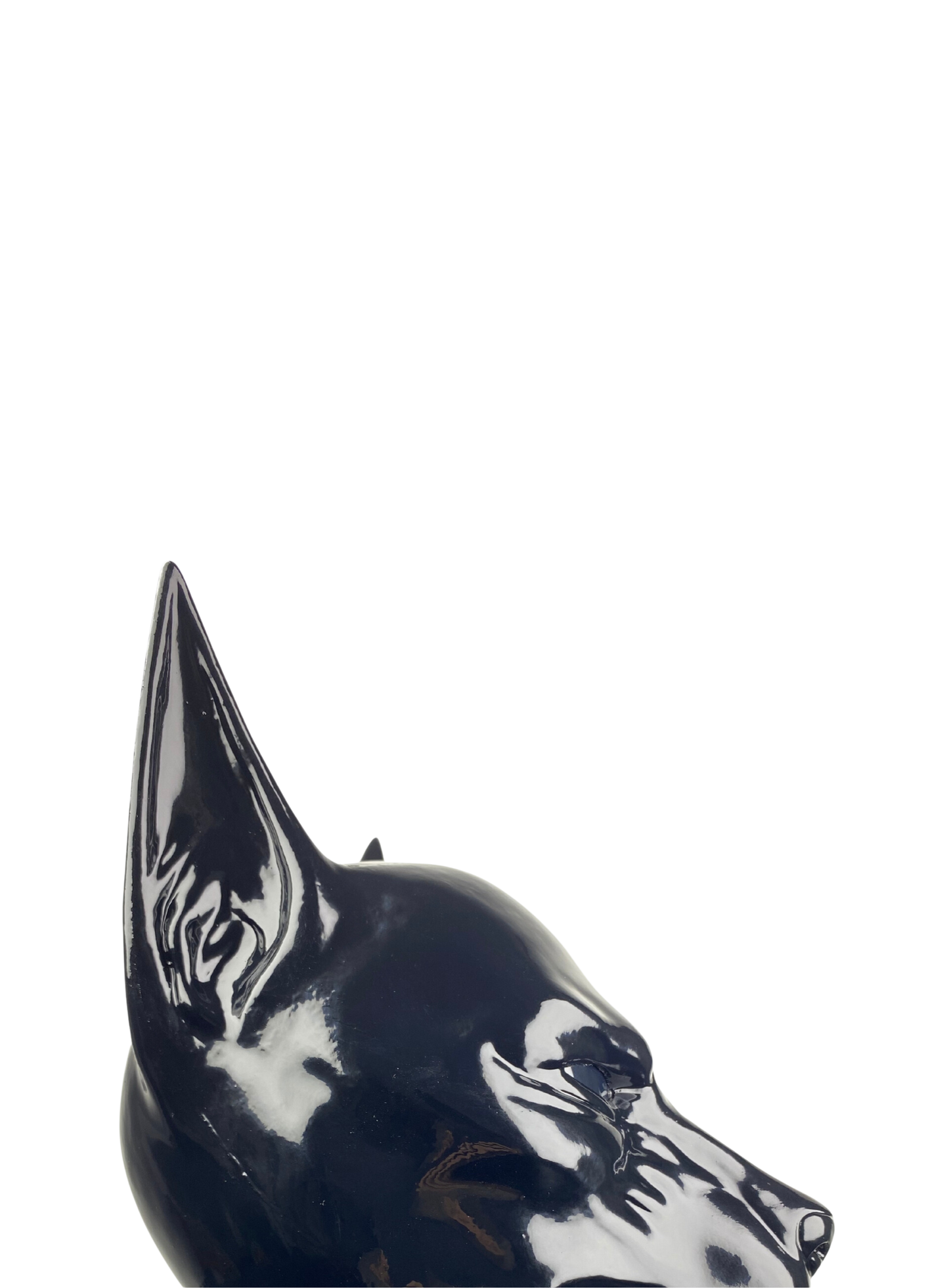 Anubis
