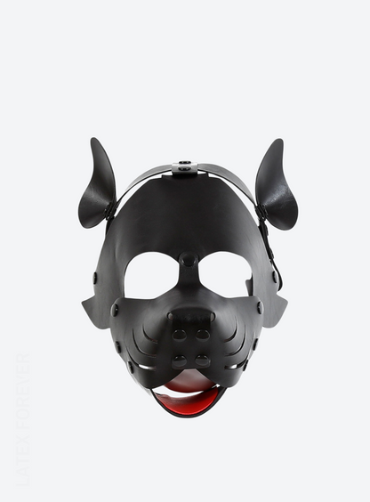 Neoprene Puppy Hood